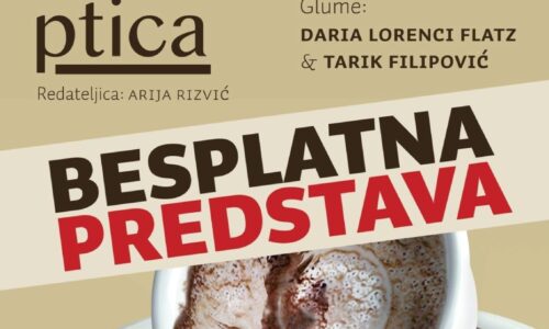 Predstava “Da sam ptica”